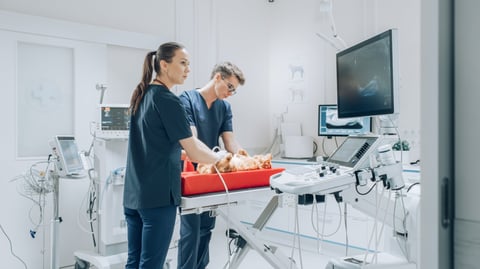 Transductor Lineal Multifrecuencia para Vetus 7 Vetus E7