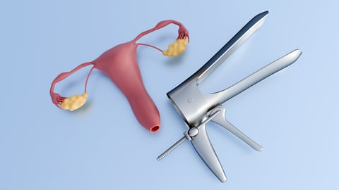 3D rendering of female reproductive health with metallic vaginal speculum, the essential instrument used for internal examinations, such as a Pap smear or pelvic exam.
