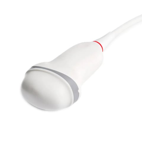 White ultrasound probe with gray band and red indicator marking on tapered cable