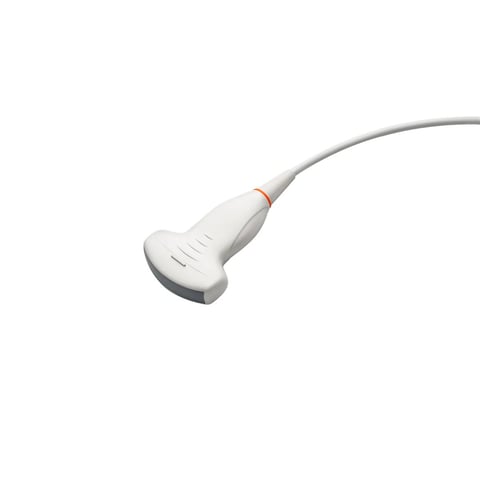 White medical ultrasound transducer probe with attached gray cable against white background